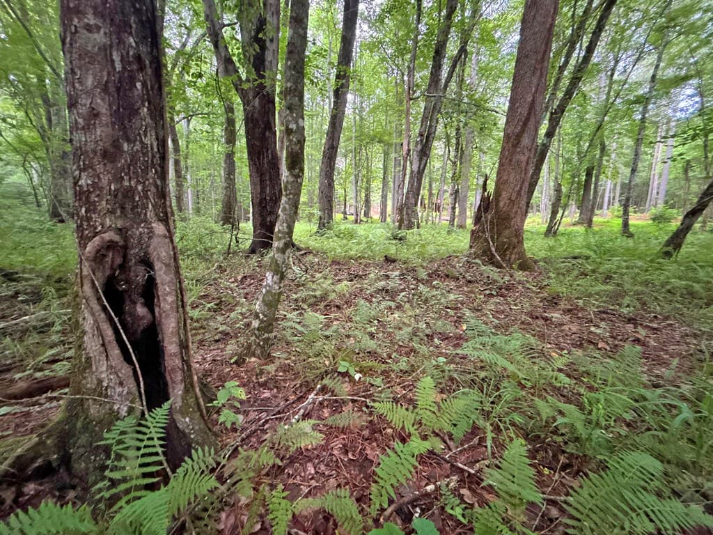 20AC Yonder Way, Talking Rock GA 30175 - Photo