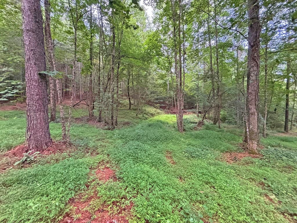 10AC Lovejoy Lane, Talking Rock GA 30175 - Photo