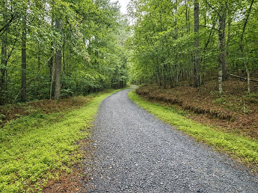 10AC Lovejoy Lane, Talking Rock GA 30175 - Photo