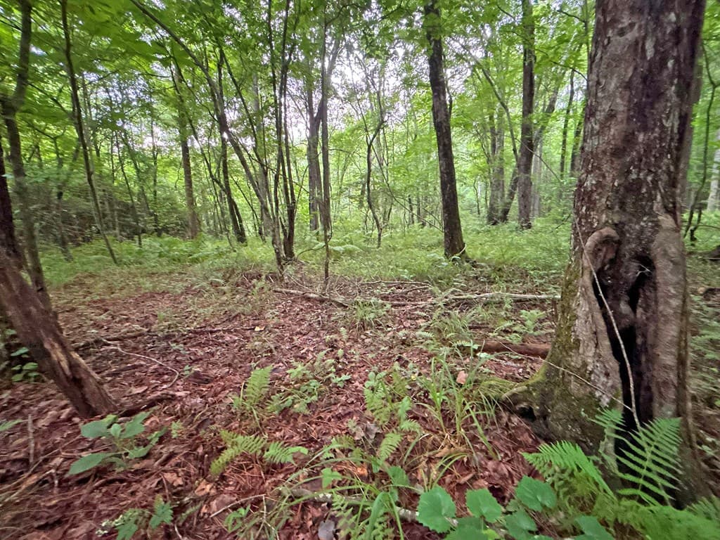 10AC Yonder Way, Talking Rock GA 30175 - Photo