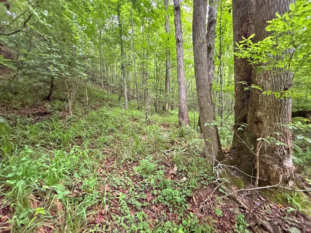 10AC Yonder Way, Talking Rock GA 30175 - Photo