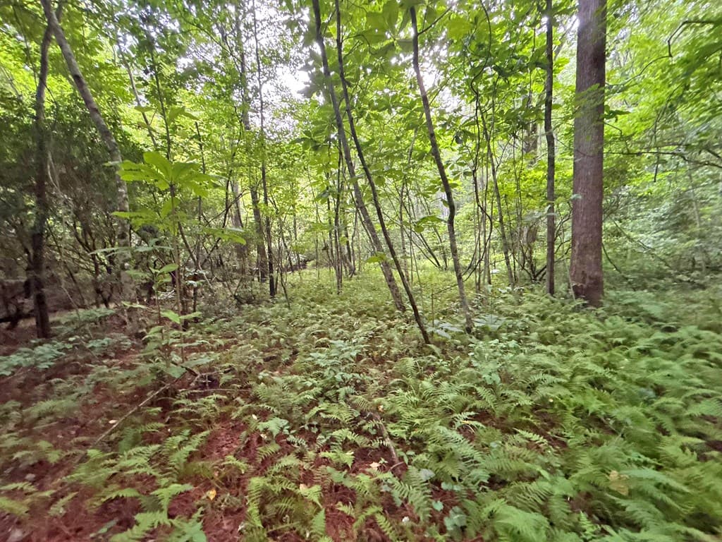 10AC Yonder Way, Talking Rock GA 30175 - Photo