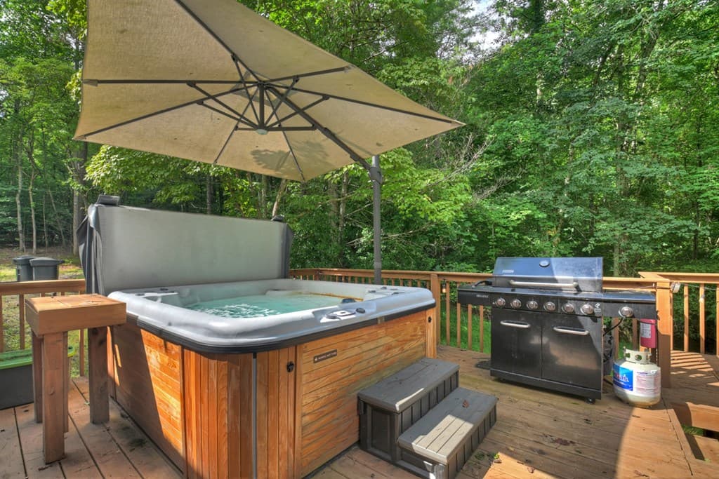 2 Watson Gap Road, Mineral Bluff GA 30559 - Photo