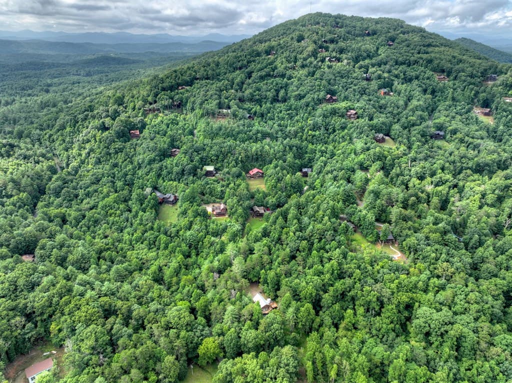 2 Watson Gap Road, Mineral Bluff GA 30559 - Photo