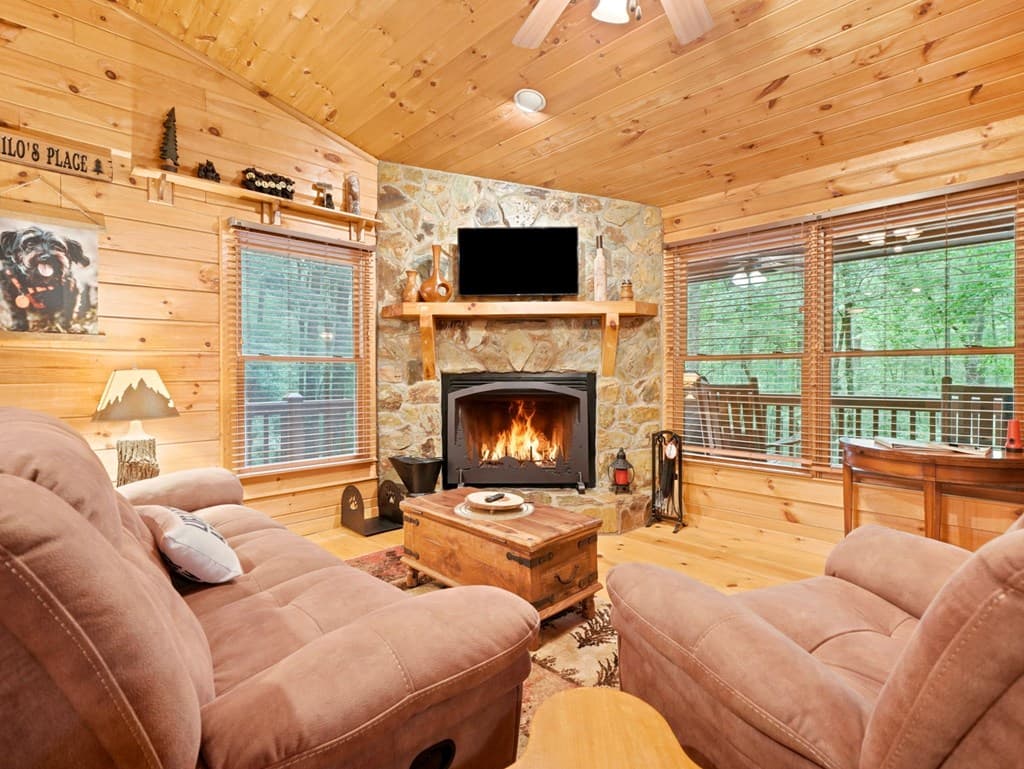 151 Hatchet Trail, Cherry Log GA 30522 - Photo