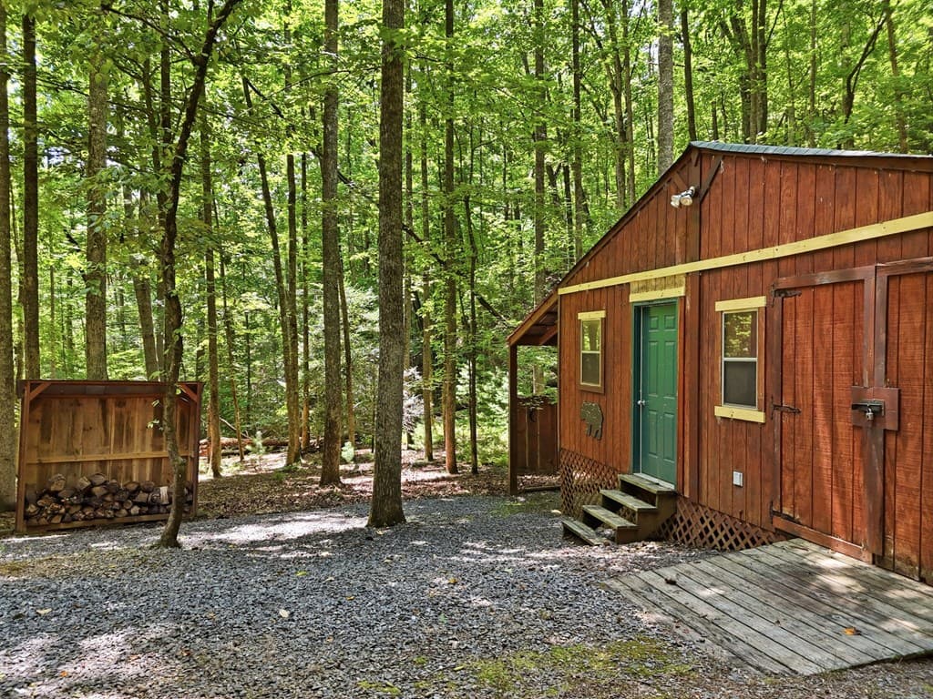 151 Hatchet Trail, Cherry Log GA 30522 - Photo