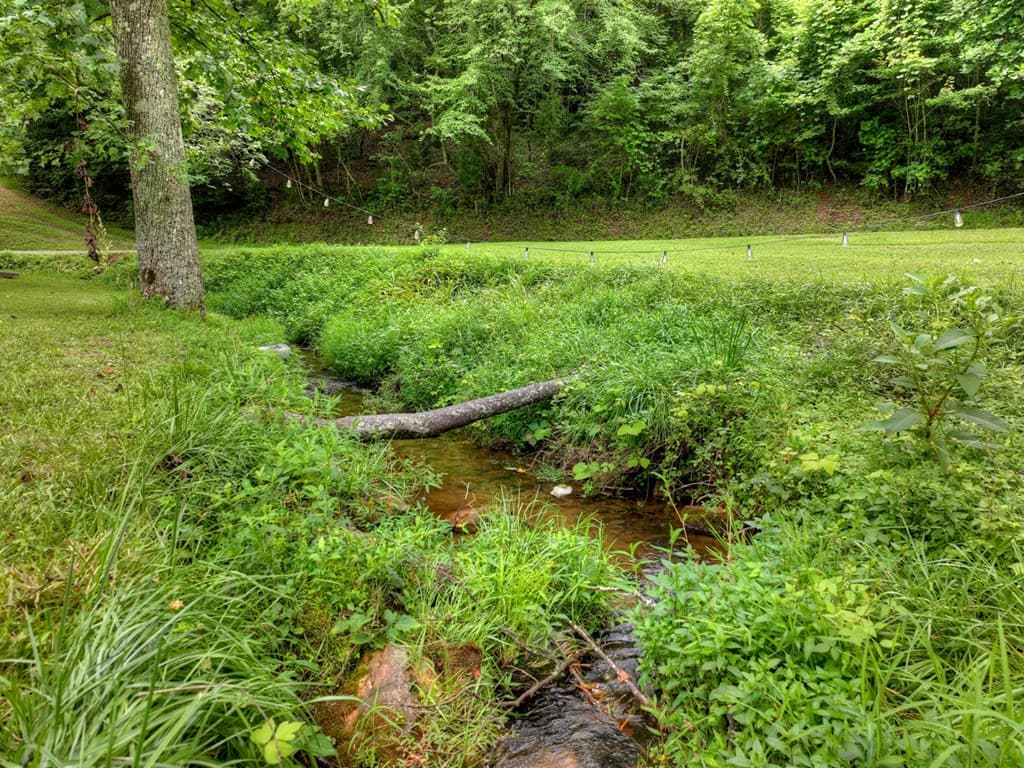 355 Happy Valley Lane, Morganton GA 30560 - Photo