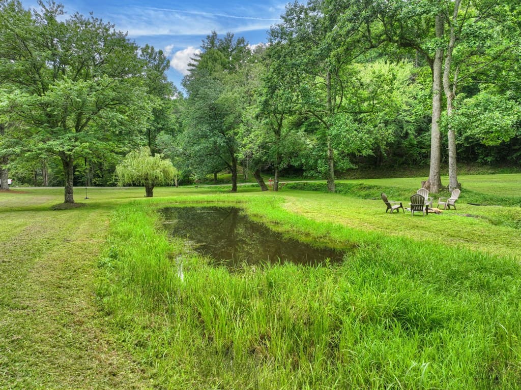 355 Happy Valley Lane, Morganton GA 30560 - Photo