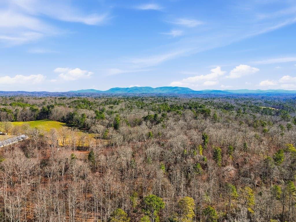 835 Hilton Drive, Ellijay GA 30540 - Photo
