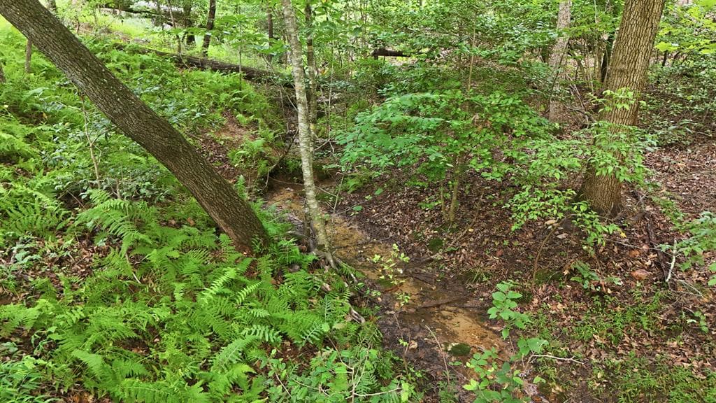 161 Arbor Way, Blue Ridge GA 30513 - Photo