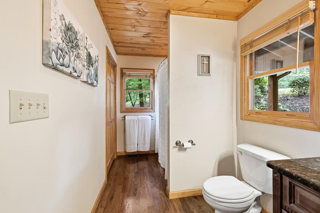 161 Arbor Way, Blue Ridge GA 30513 - Photo