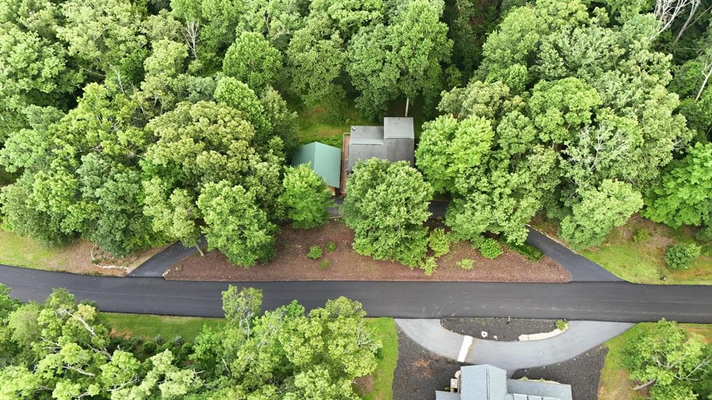 161 Arbor Way, Blue Ridge GA 30513 - Photo