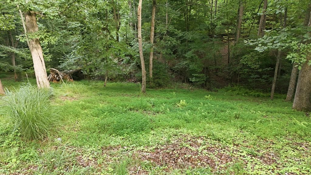 161 Arbor Way, Blue Ridge GA 30513 - Photo