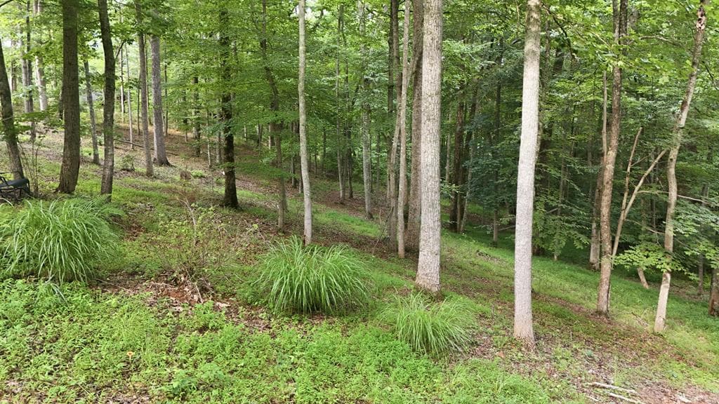 161 Arbor Way, Blue Ridge GA 30513 - Photo