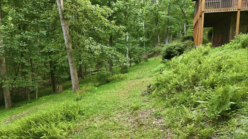 161 Arbor Way, Blue Ridge GA 30513 - Photo