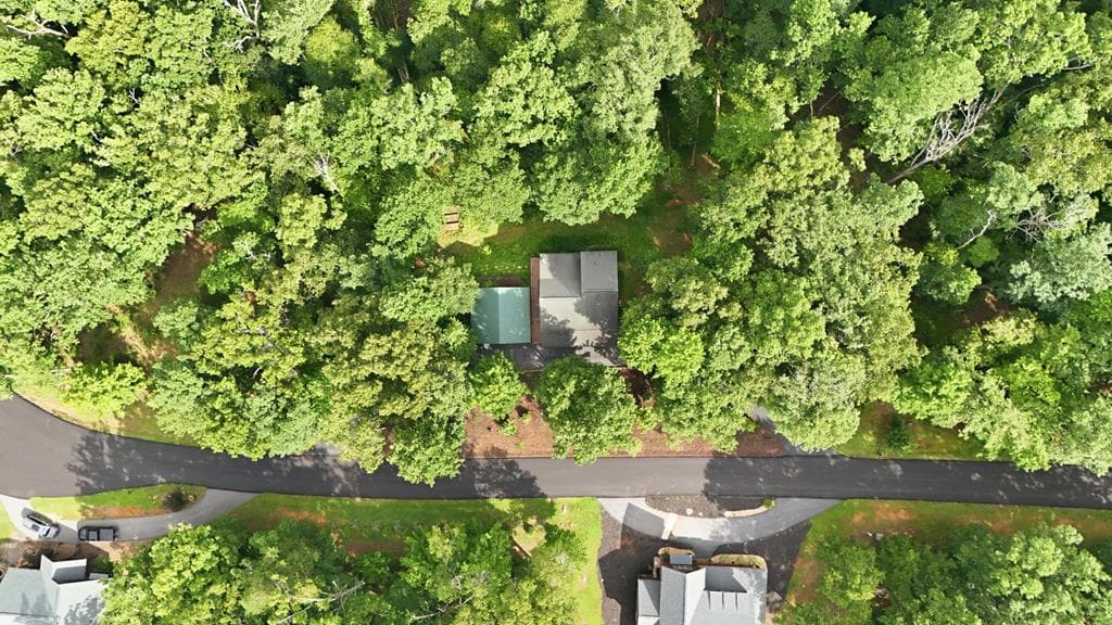 161 Arbor Way, Blue Ridge GA 30513 - Photo