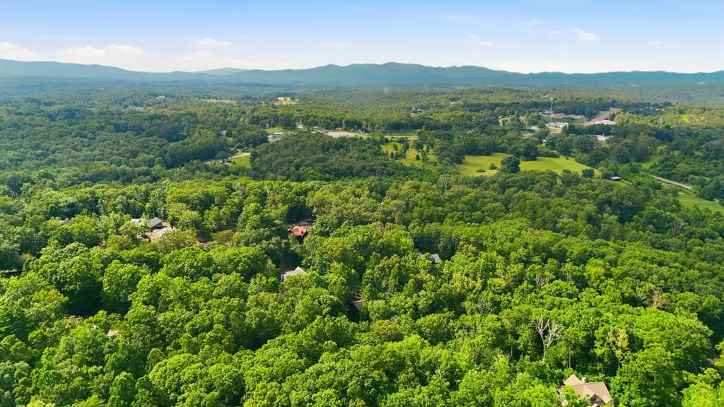 161 Arbor Way, Blue Ridge GA 30513 - Photo