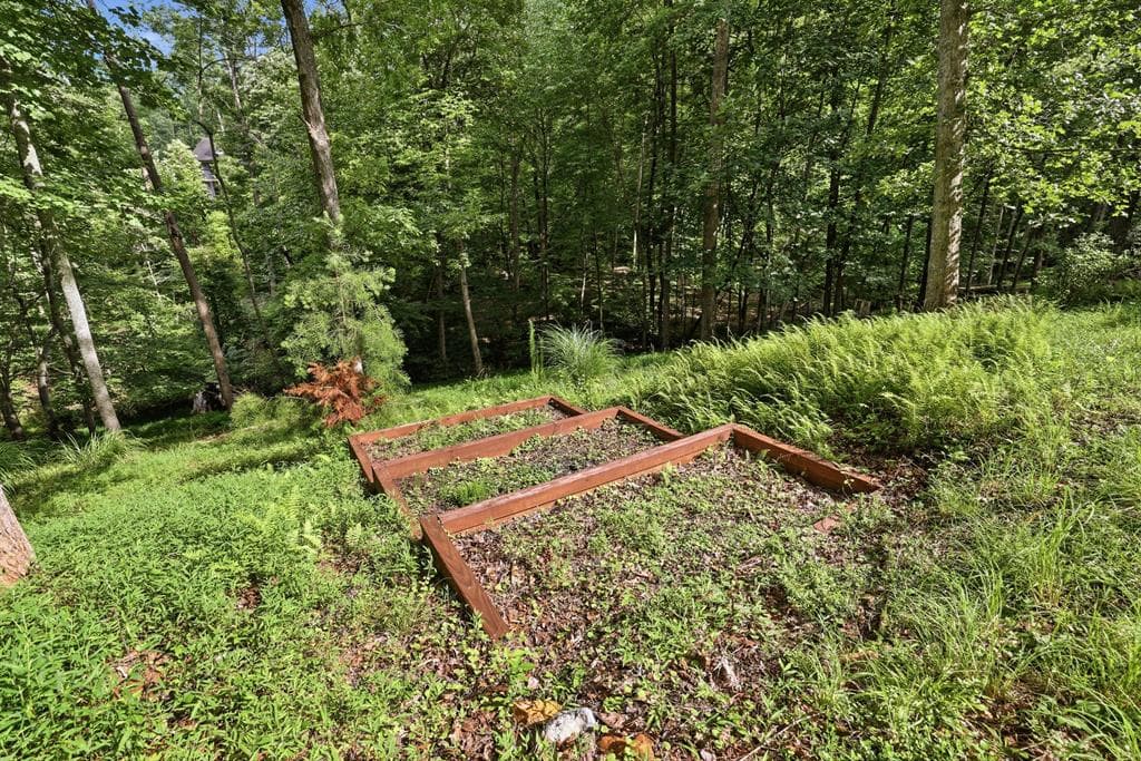 161 Arbor Way, Blue Ridge GA 30513 - Photo