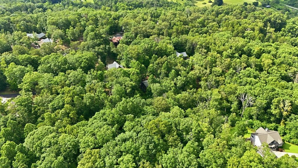 161 Arbor Way, Blue Ridge GA 30513 - Photo