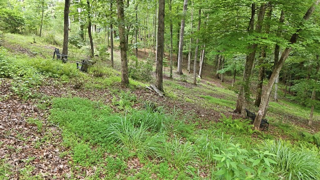161 Arbor Way, Blue Ridge GA 30513 - Photo