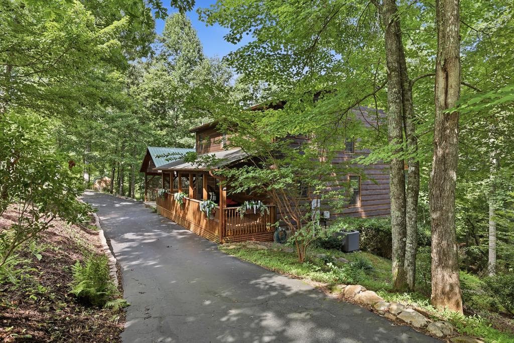 161 Arbor Way, Blue Ridge GA 30513 - Photo