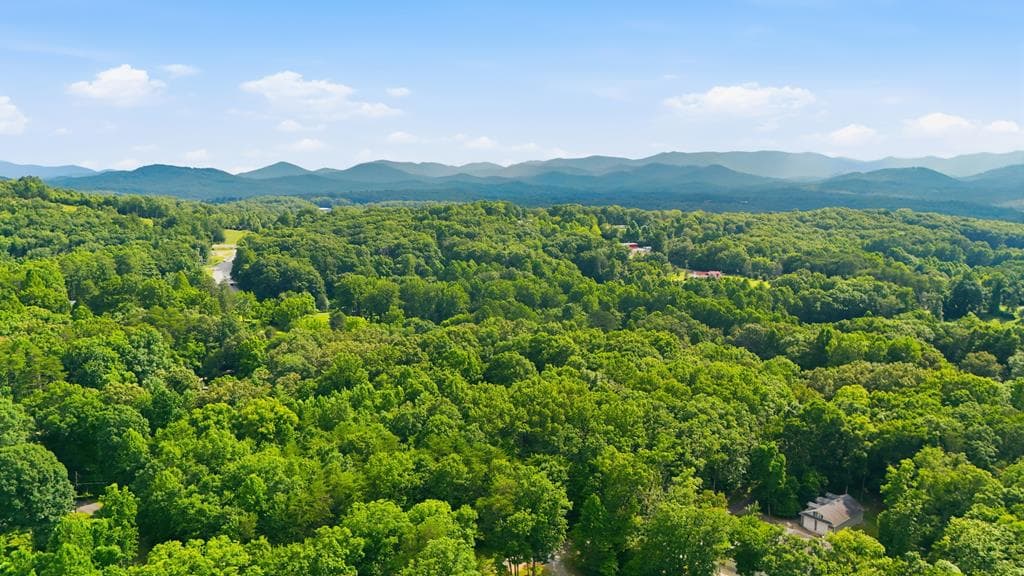 161 Arbor Way, Blue Ridge GA 30513 - Photo