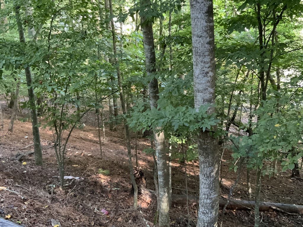 176 14th Street, Ellijay GA 30540 - Photo