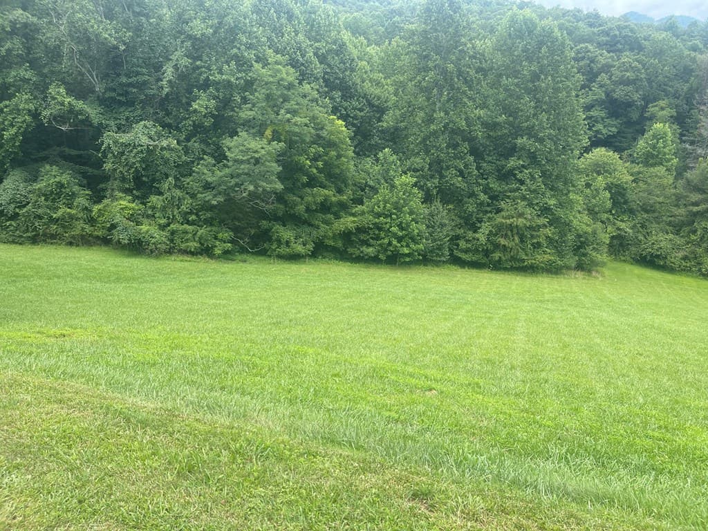 Lot 22C Ash Branch Circle, Hayesville NC 28904 - Photo