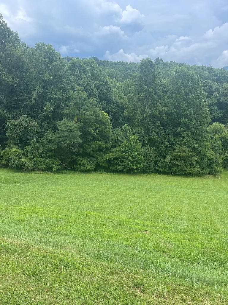 Lot 22C Ash Branch Circle, Hayesville NC 28904 - Primary photo