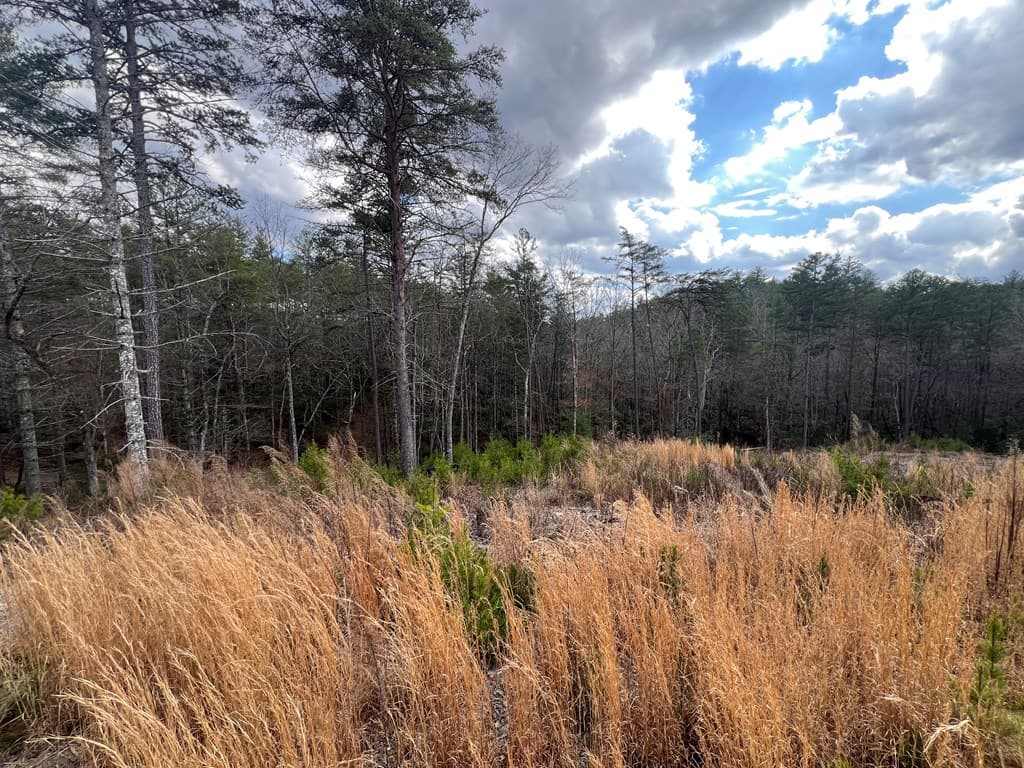 Lot 10 Mountain Laurel Ridge, Mineral Bluff GA 30559 - Photo