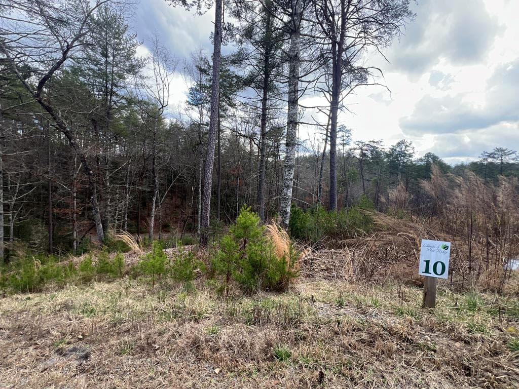 Lot 10 Mountain Laurel Ridge, Mineral Bluff GA 30559 - Primary photo