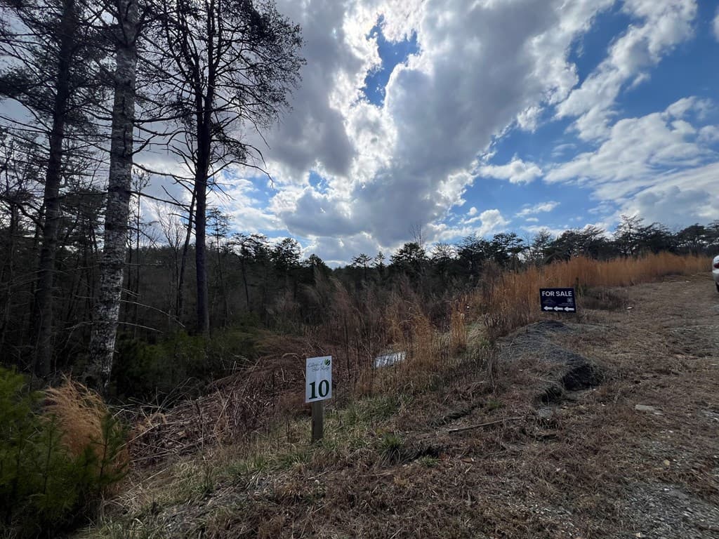 Lot 10 Mountain Laurel Ridge, Mineral Bluff GA 30559 - Photo