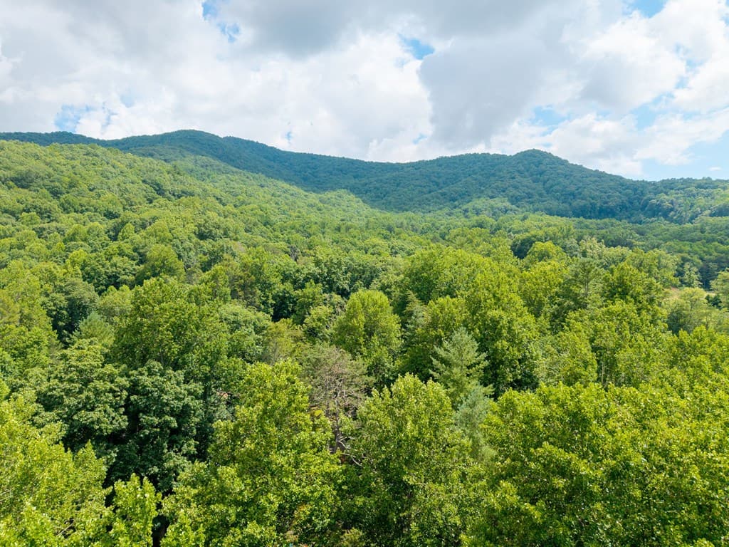 108 Leisure Woods Lane, Hiawassee GA 30546 - Photo