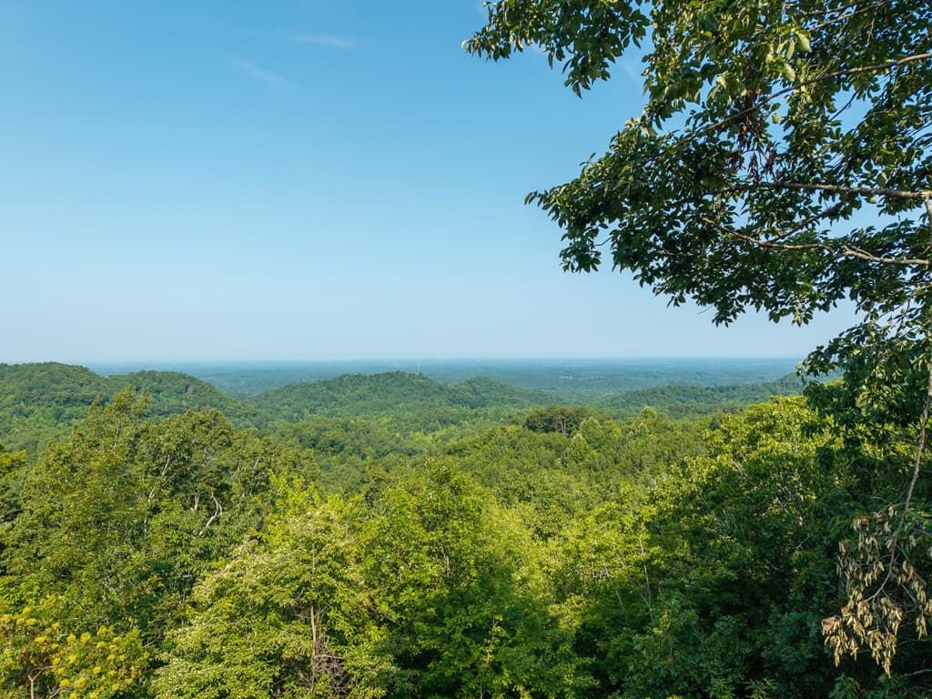 294 Adair Drive, Ranger GA 30734 - Photo