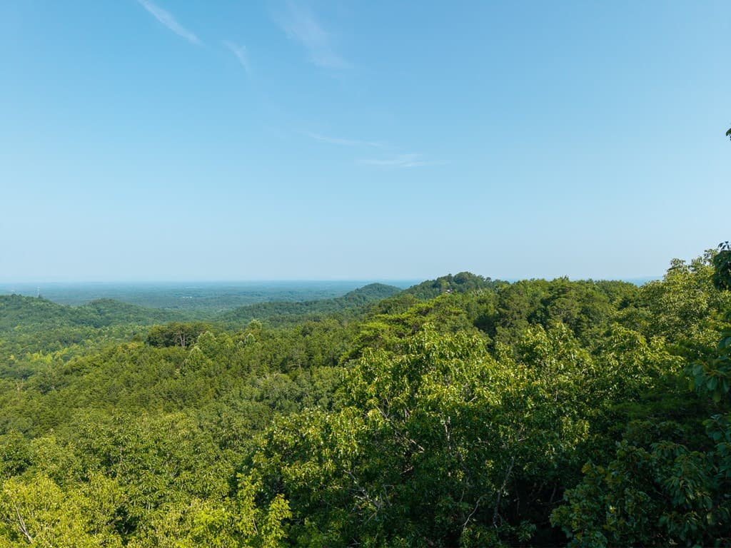 294 Adair Drive, Ranger GA 30734 - Photo