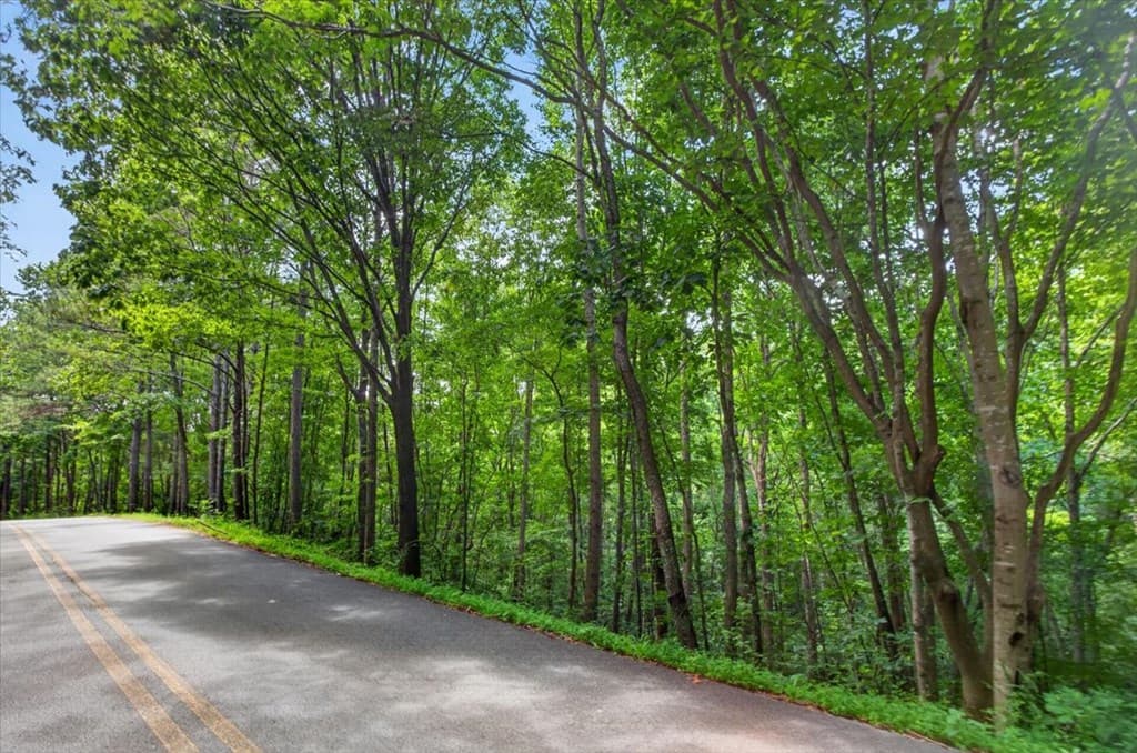 0 LOT 67 Ginger Drive, Jasper GA 30143 - Photo