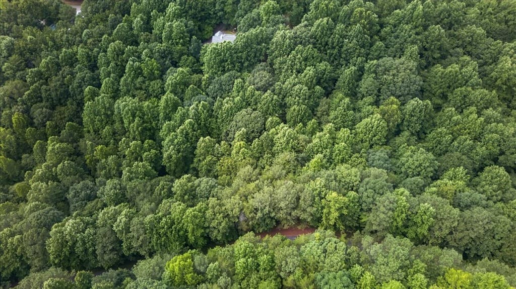 0 LOT 67 Ginger Drive, Jasper GA 30143 - Photo