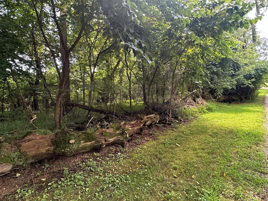 Lots 5&6 Qualla Terrace, Hayesville NC 28904 - Photo