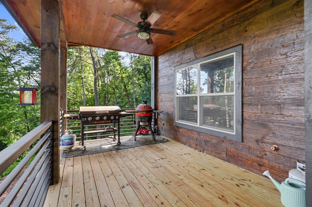240 Pink Pig Lane, Cherry Log GA 30522 - Photo
