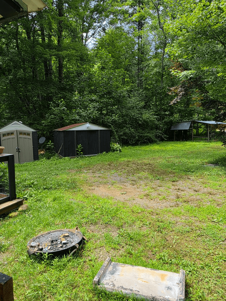 49 Deer Trail, Mineral Bluff GA 30559 - Photo