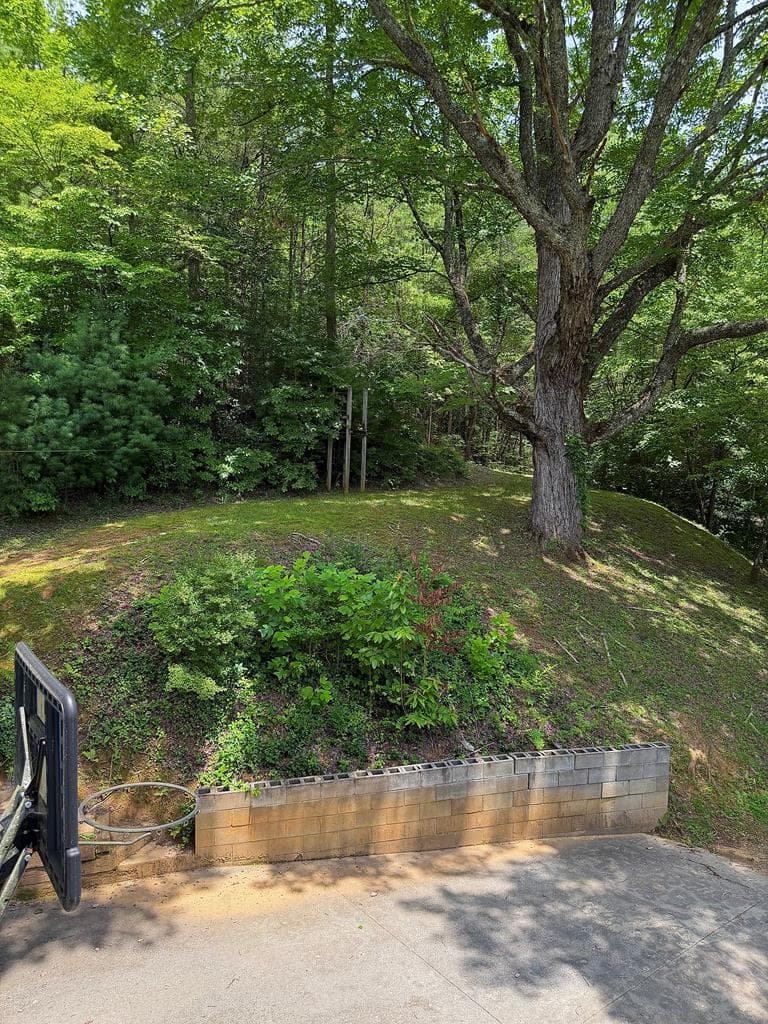 119 Ashlan Trail, Hayesville NC 28904 - Photo