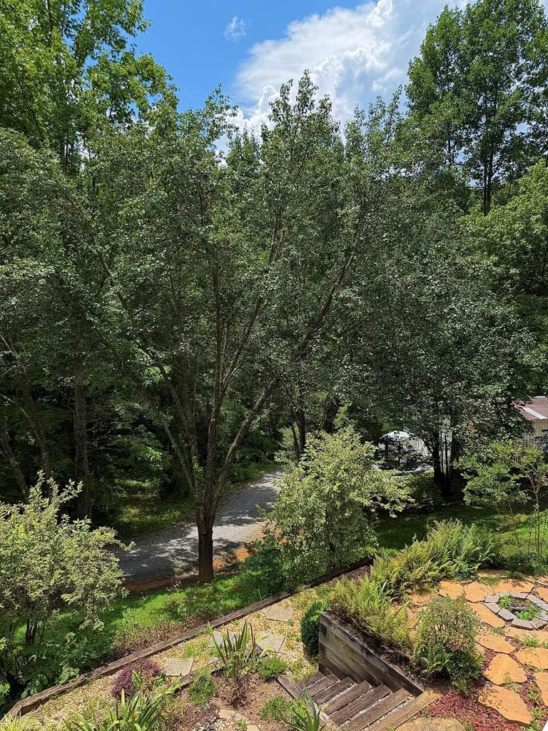 119 Ashlan Trail, Hayesville NC 28904 - Photo