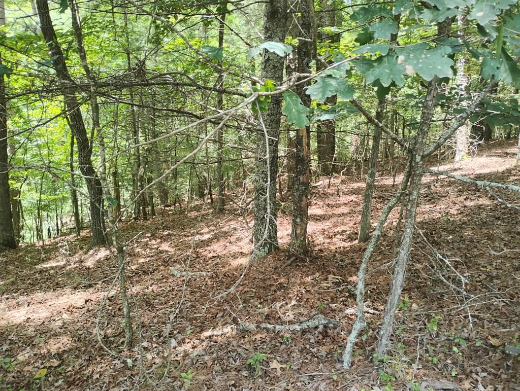 0 Crystal Lane, Ellijay GA 30540 - Photo