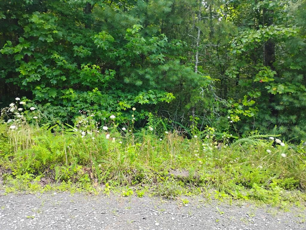 0 Crystal Lane, Ellijay GA 30540 - Photo
