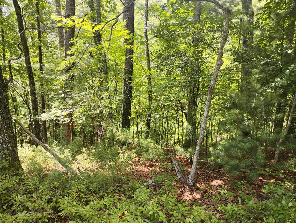 0 Crystal Lane, Ellijay GA 30540 - Photo