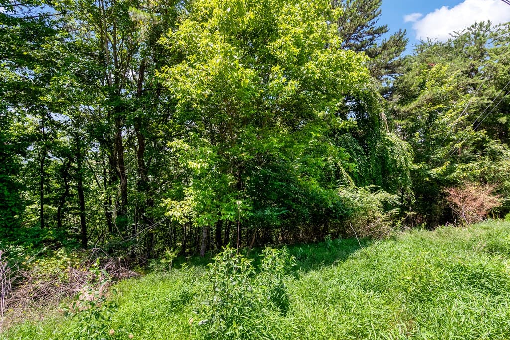 34/36 Talona Mountain Road, Ellijay GA 30536 - Photo