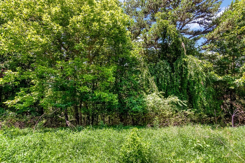 34/36 Talona Mountain Road, Ellijay GA 30536 - Photo