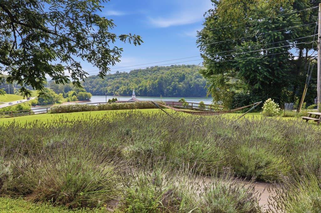 6 Ledford Chapel Road, Hayesville NC 28904 - Photo