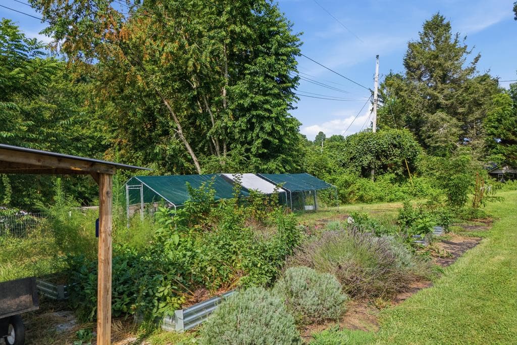 6 Ledford Chapel Road, Hayesville NC 28904 - Photo