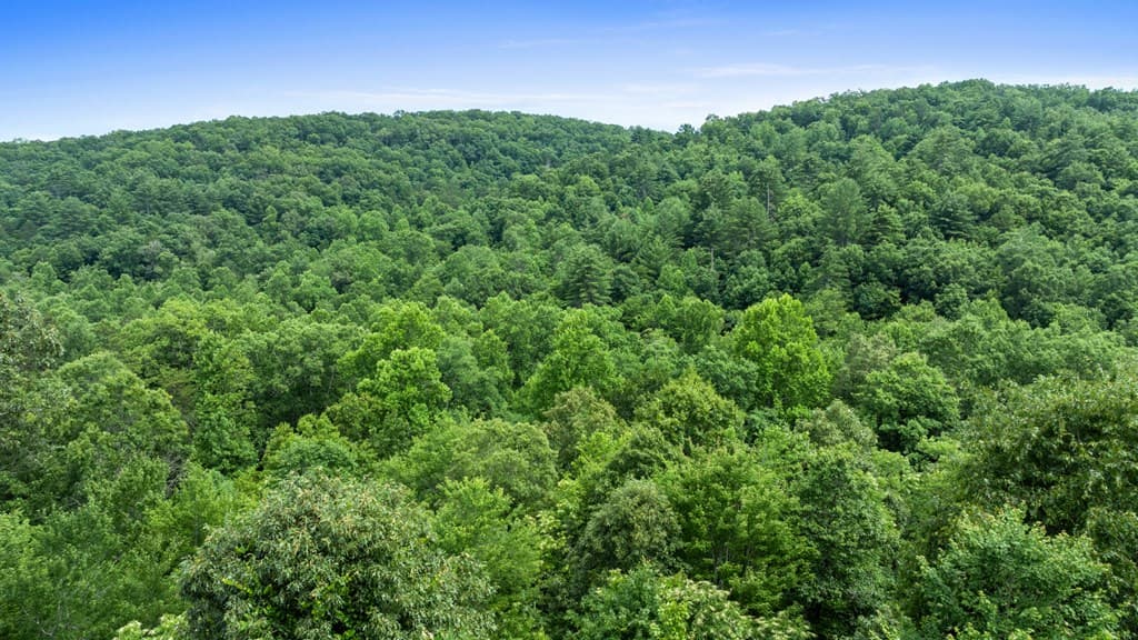 98 Shalom Lane, Blue Ridge GA 30513 - Photo